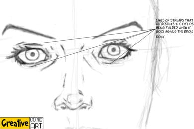 Drawing Basics – The Facial Features