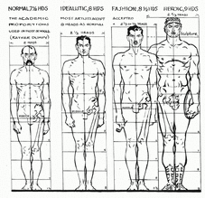 Understanding Basic Proportion Of The Human Figure
